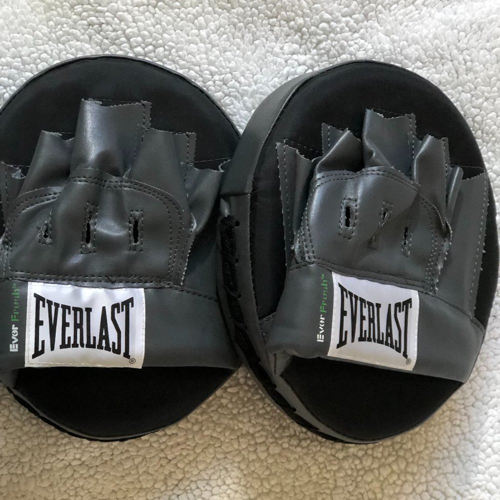 Everlast Punch Mitts